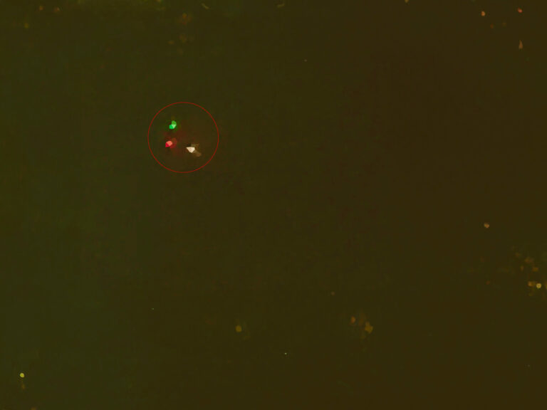 Drones and Mass Psychosis in New Jersey